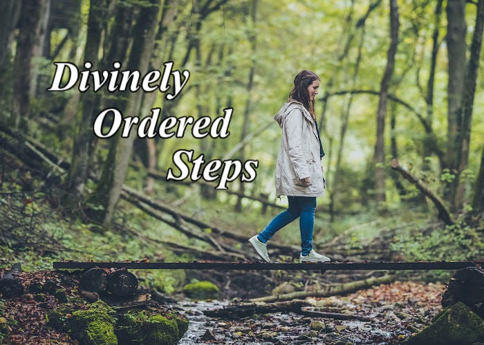 Divinely Ordered Steps | September Blog