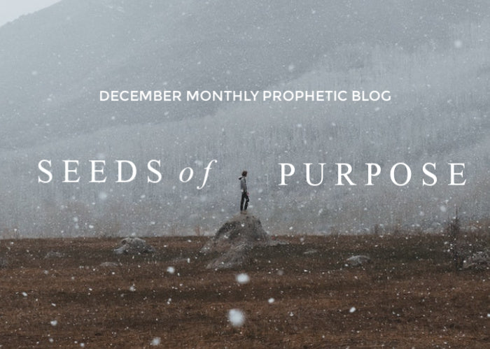 Seeds of Purpose | December Monthly Blog