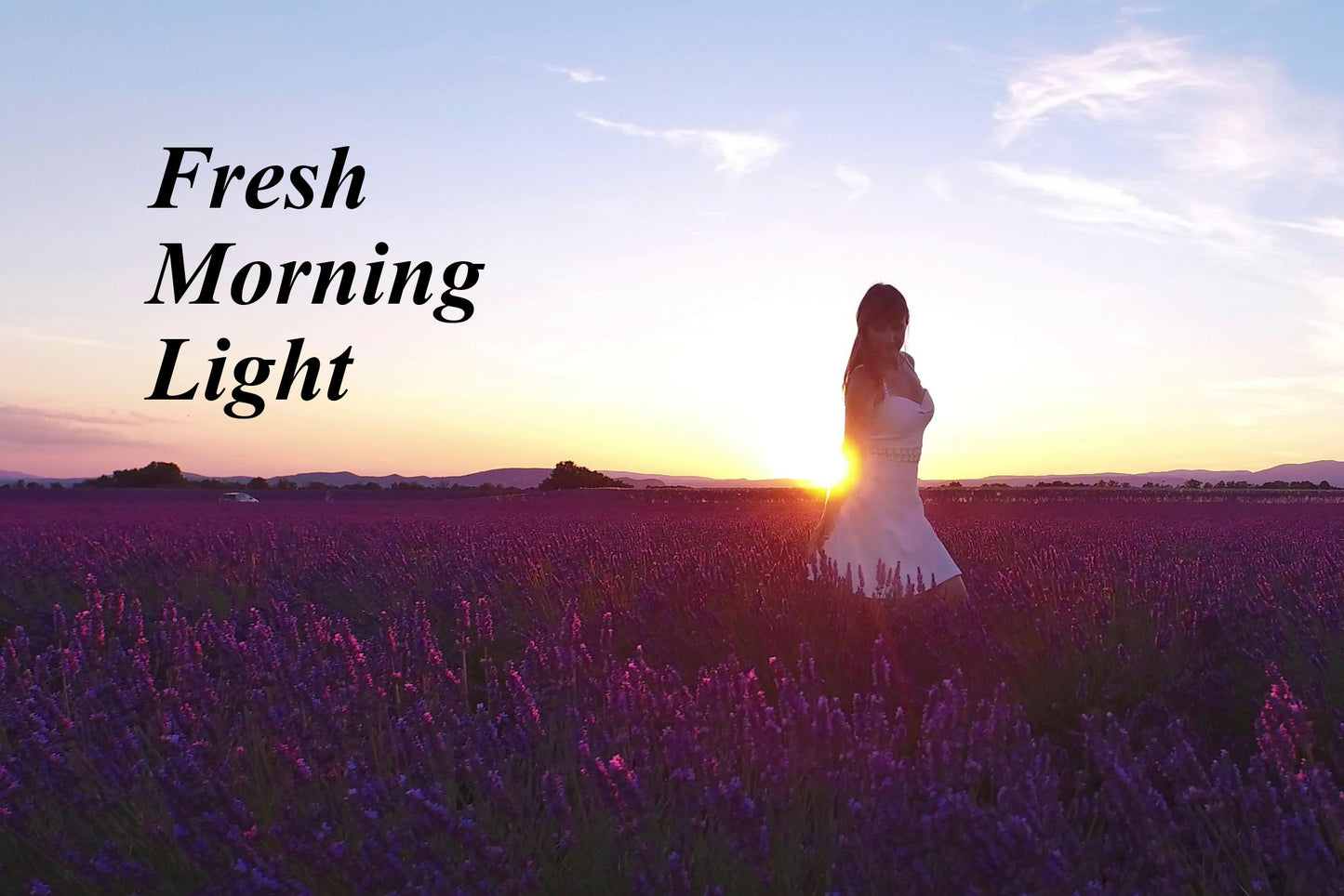 Fresh Morning Light | August Blog