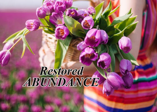 Restored Abundance | March Blog