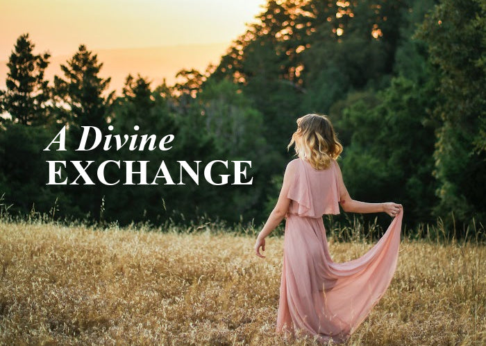 A Divine Exchange | November Monthly Blog
