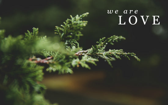 We Are Love | December Monthly Blog