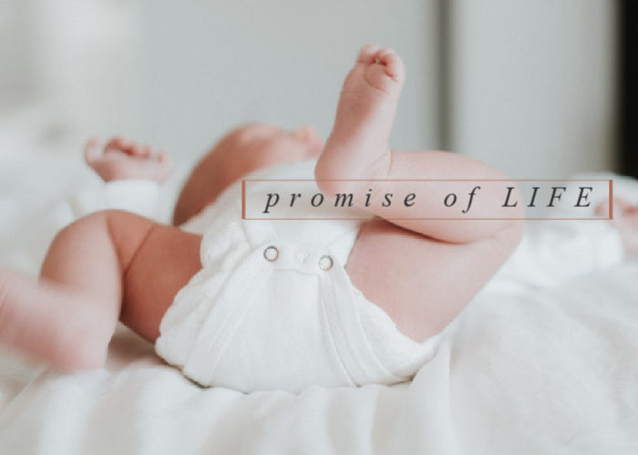 Promise Of Life | May Monthly Blog