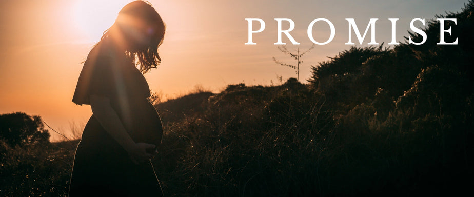 Promise